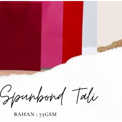 

Tas Kain SPUNBOND Tali Goodie Bag Uk 38 x 45 - Hijau Muda/Tua