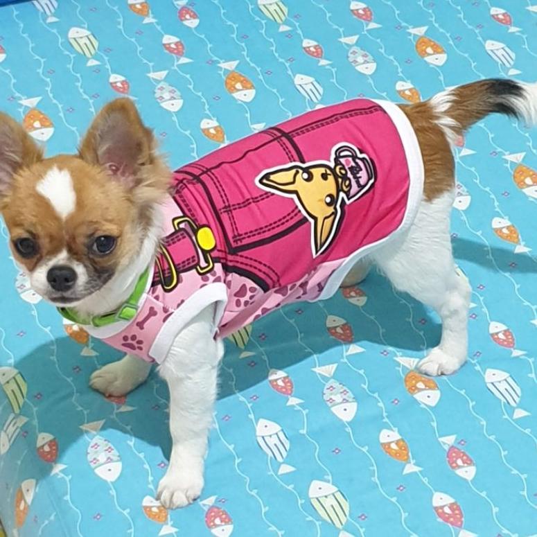 {AKK.31Oc22ᵁ} [satuan] Baju Kaos Doggie untuk Anjing Kecil Chihuahua Pomeranian Kucing Cat