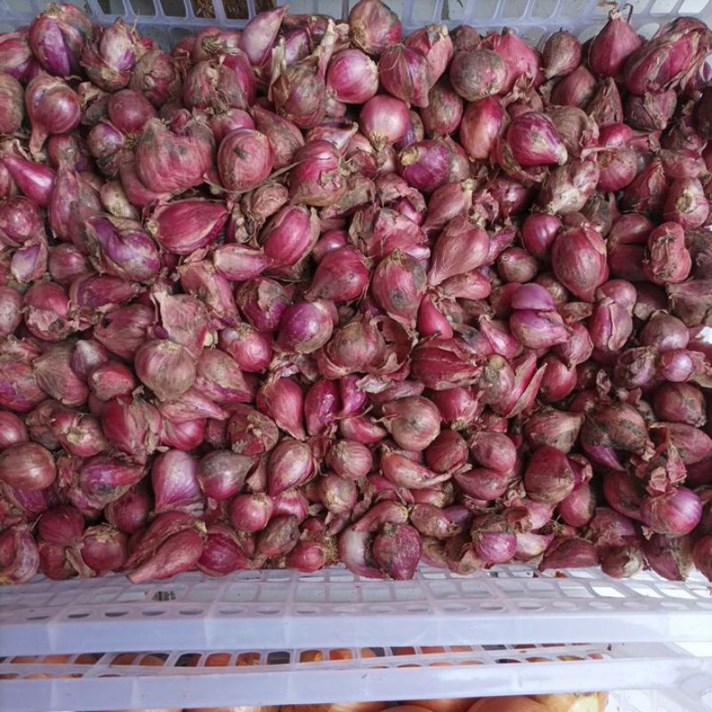 

Bawang merah