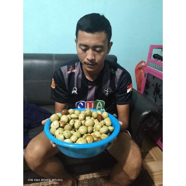 

Buah Jengkol Original Kualitas Terjamin