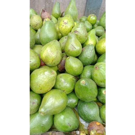 

alpukat mentega