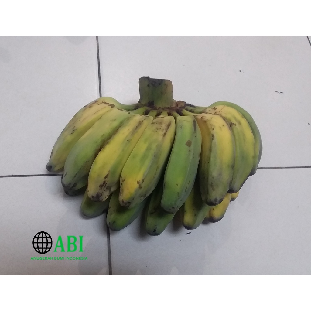 

Pisang Kepok Kuning Per Sisir