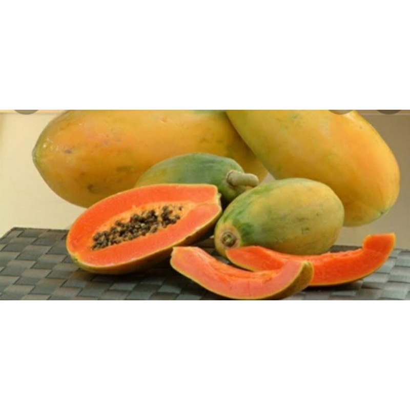 

buahpepaya perbuah