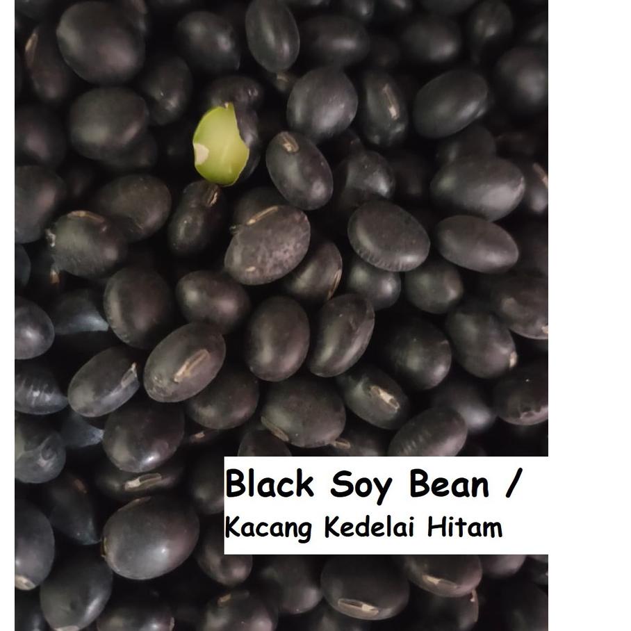 

BAYAR DITEMPAT✔️1000gr Kacang Kedelai Hitam - Small Black Bean|RA4