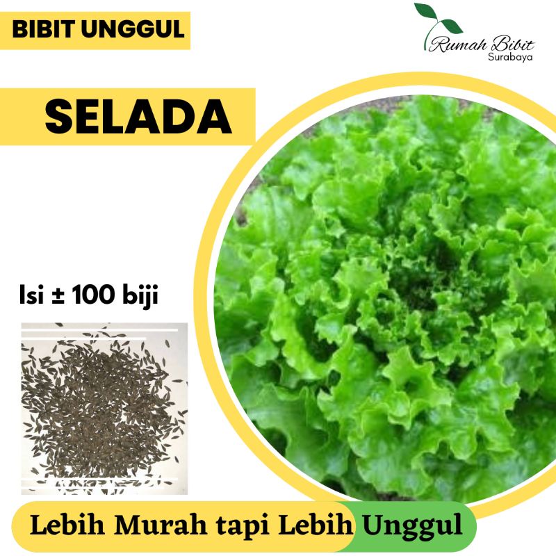 Bibit Selada Karina Cap Panah Merah Repack | Bibit Unggul Selada Seribuan