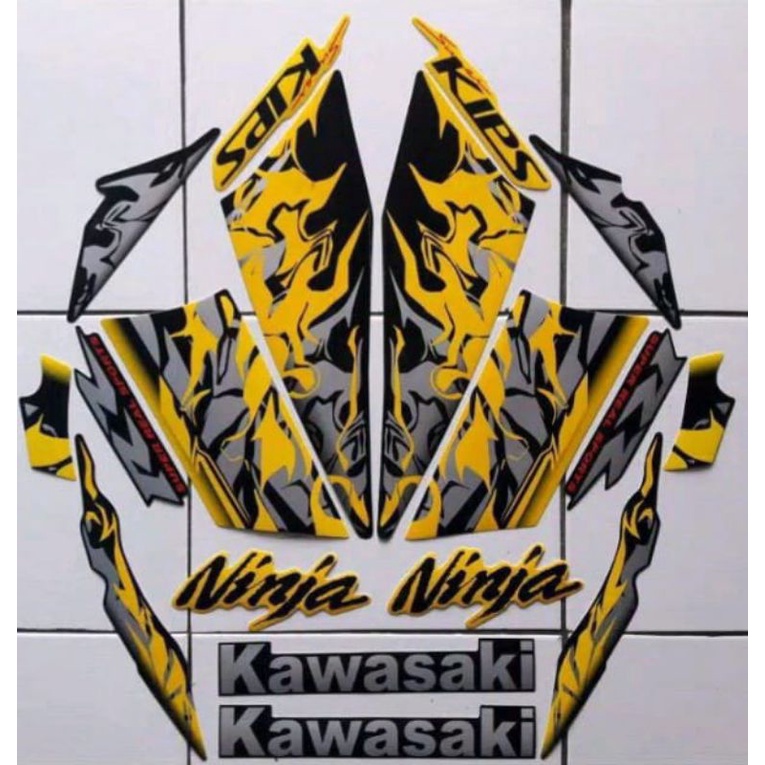 Striping Ninja RR 2013