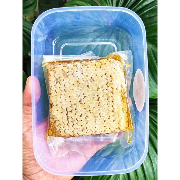 

MADU SARANG SARANG MADU 250 GR PALING MURAH