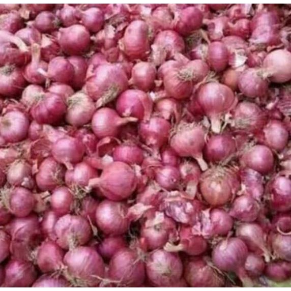

☂ Bawang Merah Lokal 250 gram ㅎ
