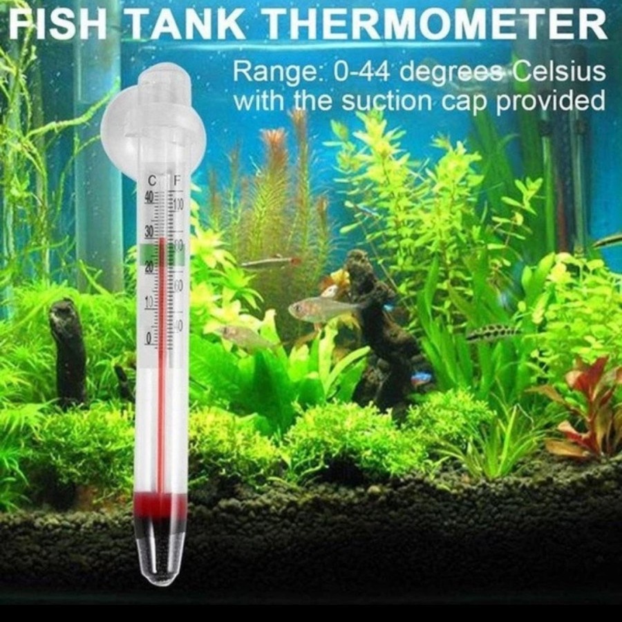Termometer Aquarium Pengukur Suhu Air Tempel Kaca Aquascape Glass Tube