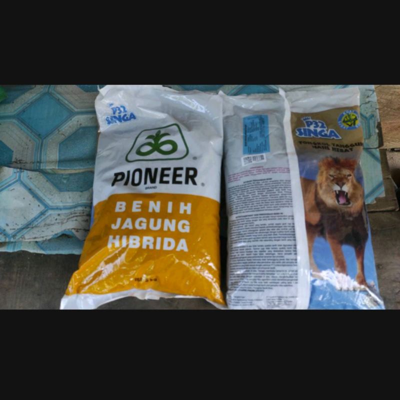 BENIH JAGUNG PIONEER P32 SINGA 5 kg