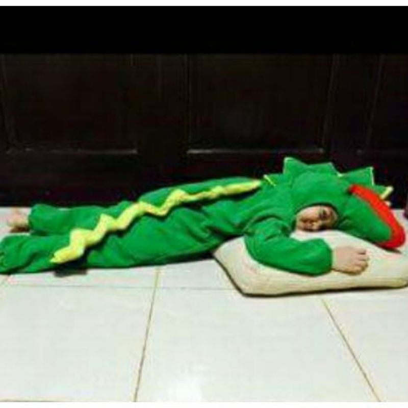 Kostum buaya/kostum anak/kostum binatang/kostum hewan/kostum buaya anak/Nadine kostum/kostum karakte