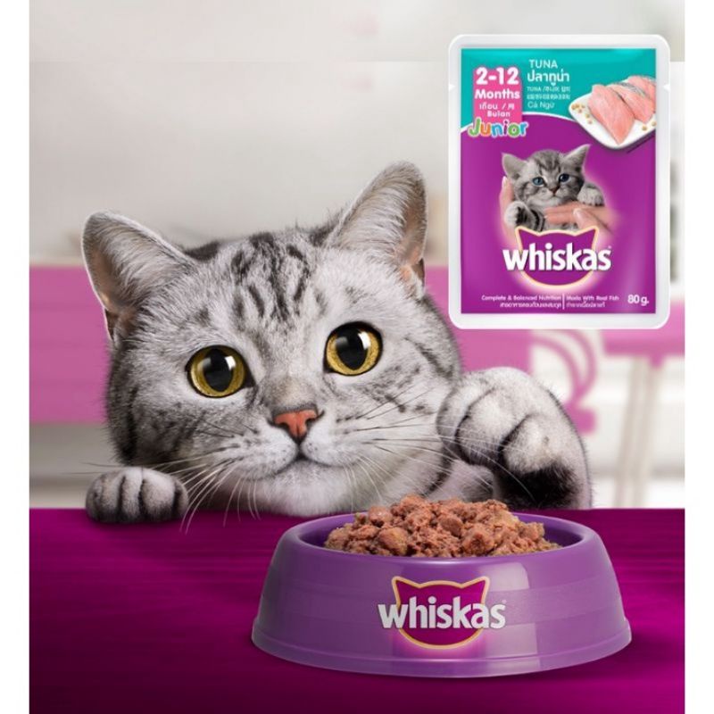 Whiskas Pouch Junior makanan kucing basah