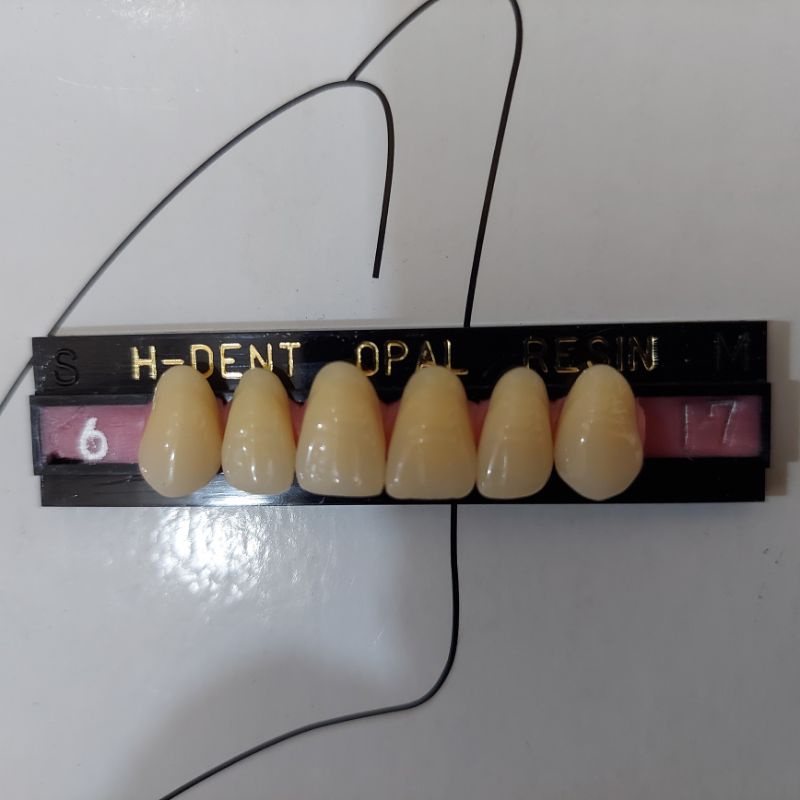 GIGI PALSU H-DENT OPAL DEPAN/ANTERIOR ATAS atau BAWAH