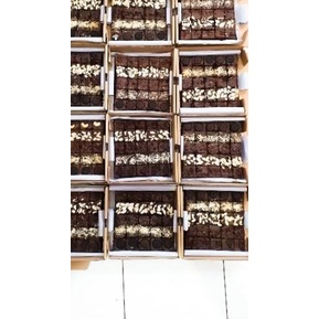 

BAYAR DITEMPAT✔️Brownies Hampers/ Brownies bakar / bronis/ brownies|KD7