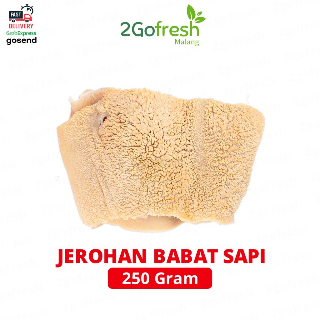 

Jerohan / Jeroan Babat Sapi Fresh - Sayur Sayuran