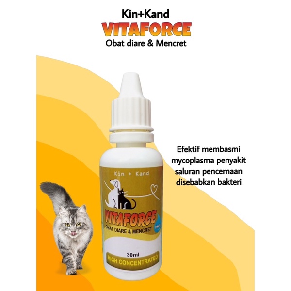 Kin kand VITAFORCE Obat Diare dan Mencret Kucing Anjing