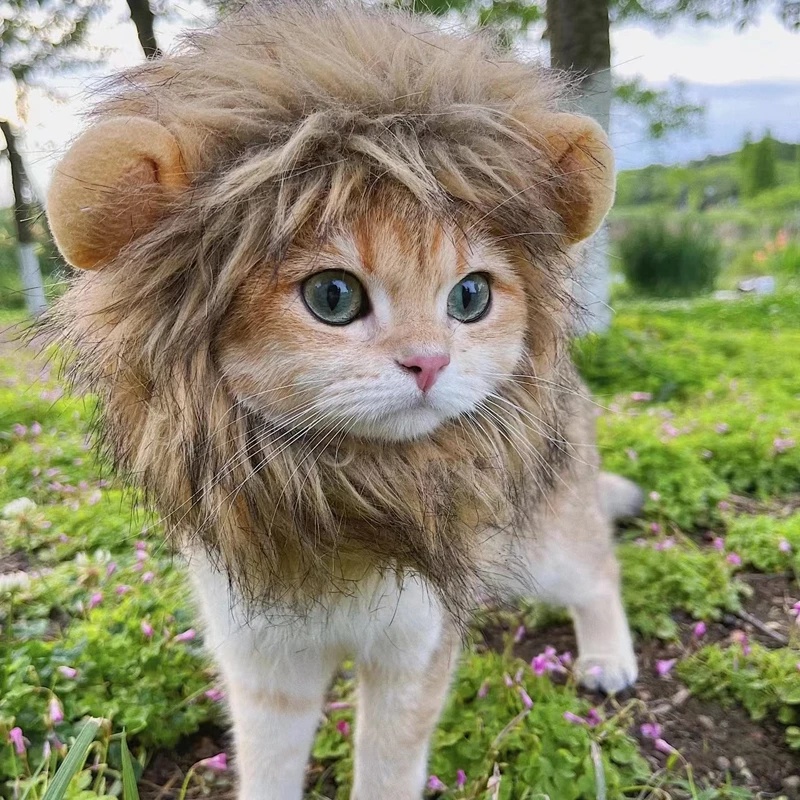 Topi Wig Rambut Singa Untuk Anjing Dan Kucing Peliharaan