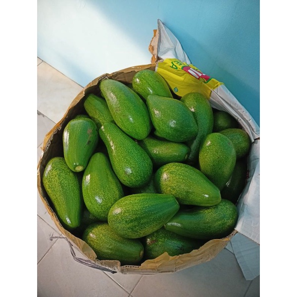 

Alpukat mentega super premium muria 2kg