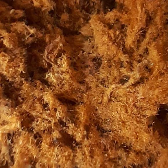 

Promo Terbatas--ABON SAPI ASLI 250gram