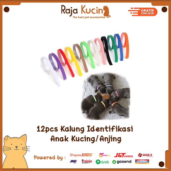 12pcs kalung identifikasi anak kucing/anjing