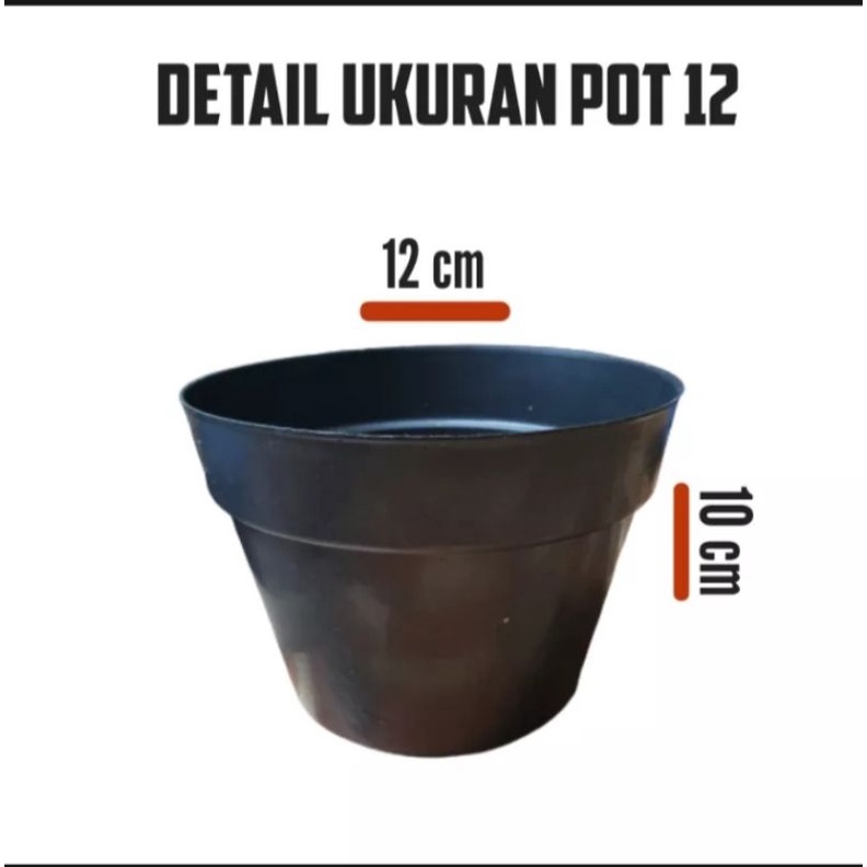 Pot bunga 12cm Lusinan/Pot bunga plastik berkualitas