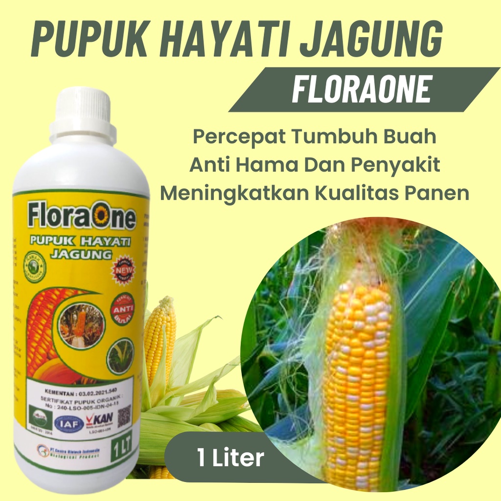 Pupuk Pemanis Buah Jagung, Pupuk Hayati Atasi Penyakit Hawar Daun Pada Tanaman Jagung, Pupuk Jagung 