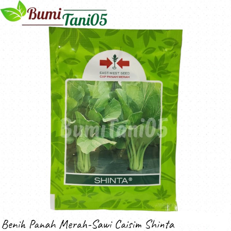 Jual Benih Panah Merah Sawi Caisim Shinta 25gr Shopee Indonesia