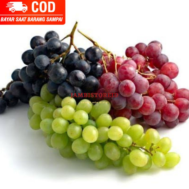 

(JAMBISTOREID) PILIH PENGIRIMAN INSTAN All Variant Buah Anggur Merah Hitam Hijau 250gram Red Globe Grade A Shine Muscat Fresh New Segar Baru