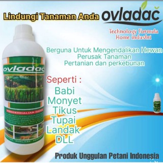 Pembasmi Hama Babi OVLADAC 1000 ML / Racun Hama Pengusir Hama Babi, Kera, Monyet, Landak, Rusa, Tupai, Tikus dan Hewan Liar #0