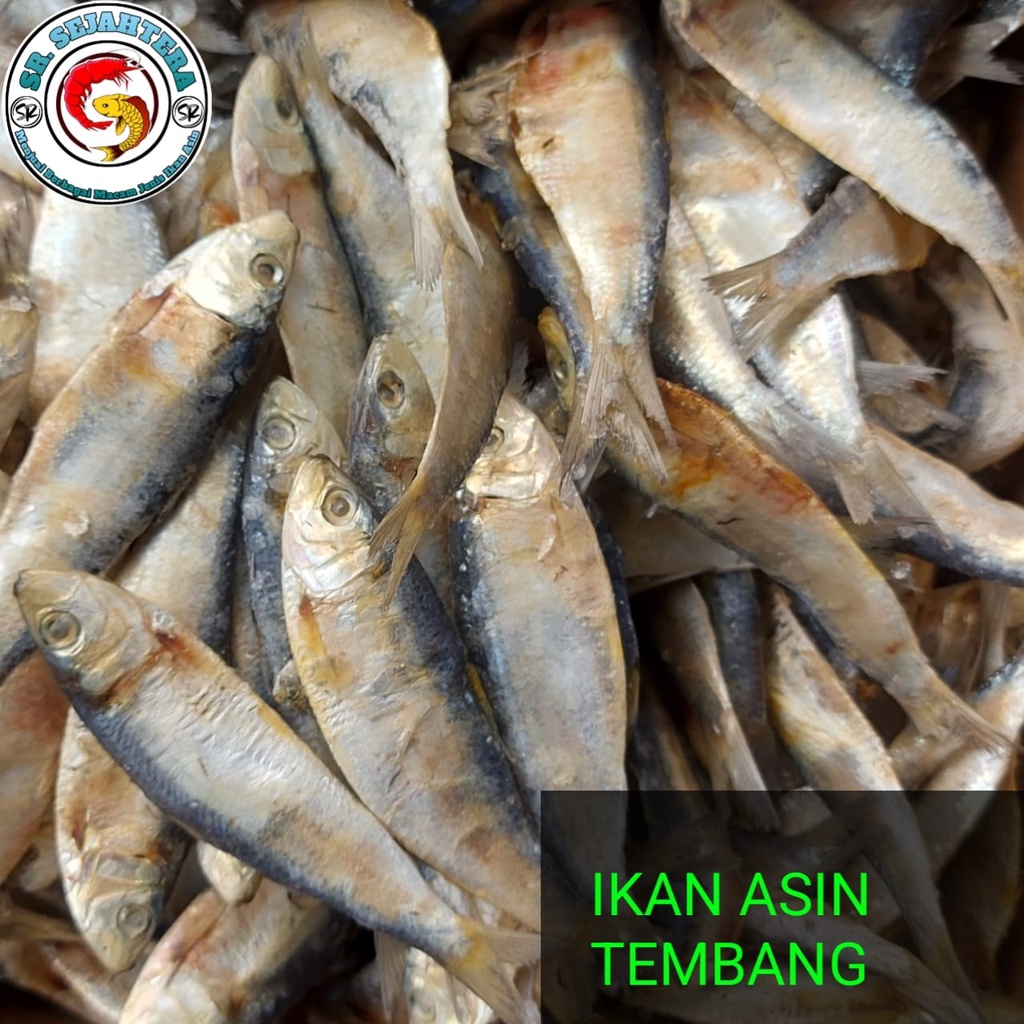 

IKAN ASIN TEMBANG BESAR / IKAN TEMBANG BESAR /IKAN TEMBANG