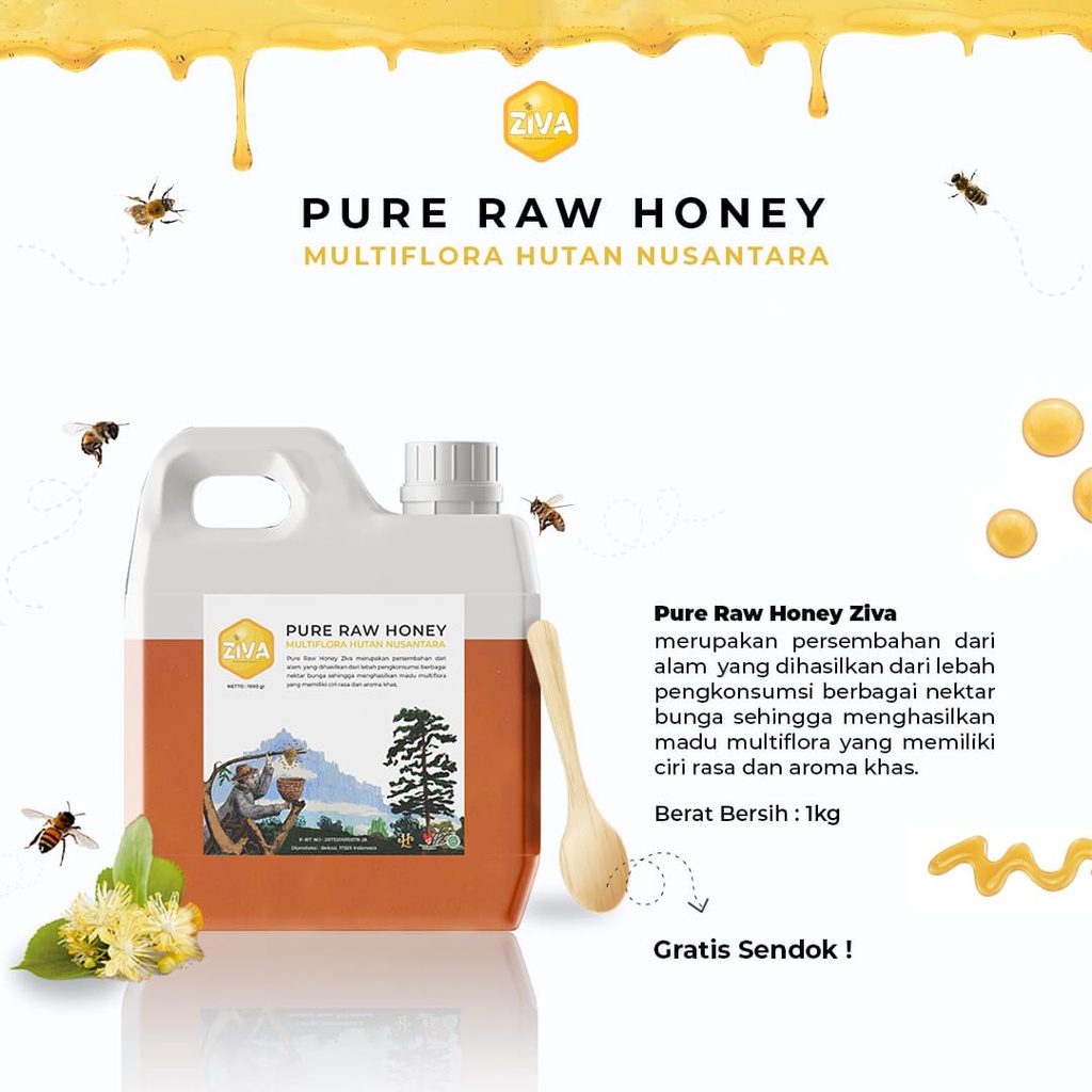 Madu Ziva Pure Raw Honey Gratis Emas Mini Gold - Madu Asli 100% Tanpa Campuran Murni Original Dari Lebah Hutan Multiflora Nusantara Kualitas Super Terbaik Dan Bagus Untuk Kesehatan