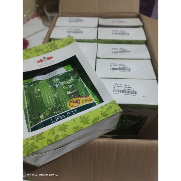 Benih Pare lipa isi 100