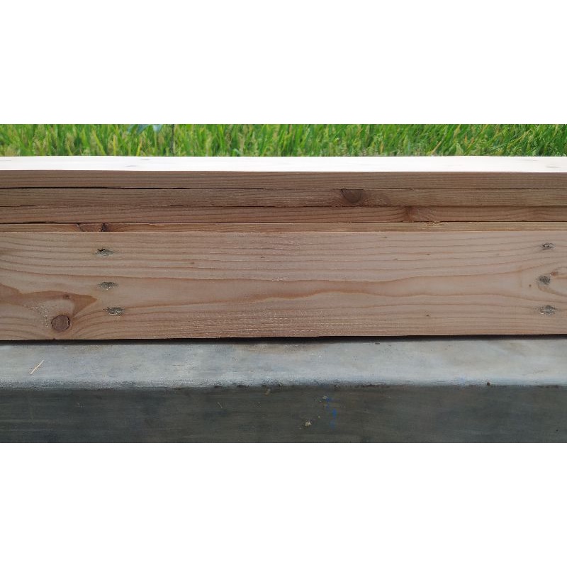 Jati Belanda serat merah