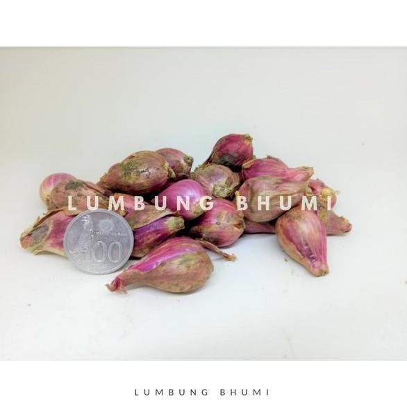 

siap kirim] Bawang Merah SEDANG 500 Gr -