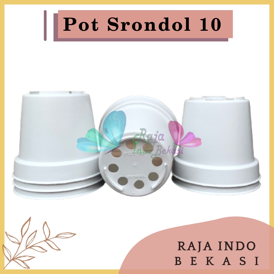 Pot Kaktus Mini Pot Hitam 5cm ,8cm dan 10cm