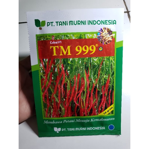 benih bibit cabe keriting terbaik TM999 benih cabe keriting pilihan ISI 10 gram benih murni