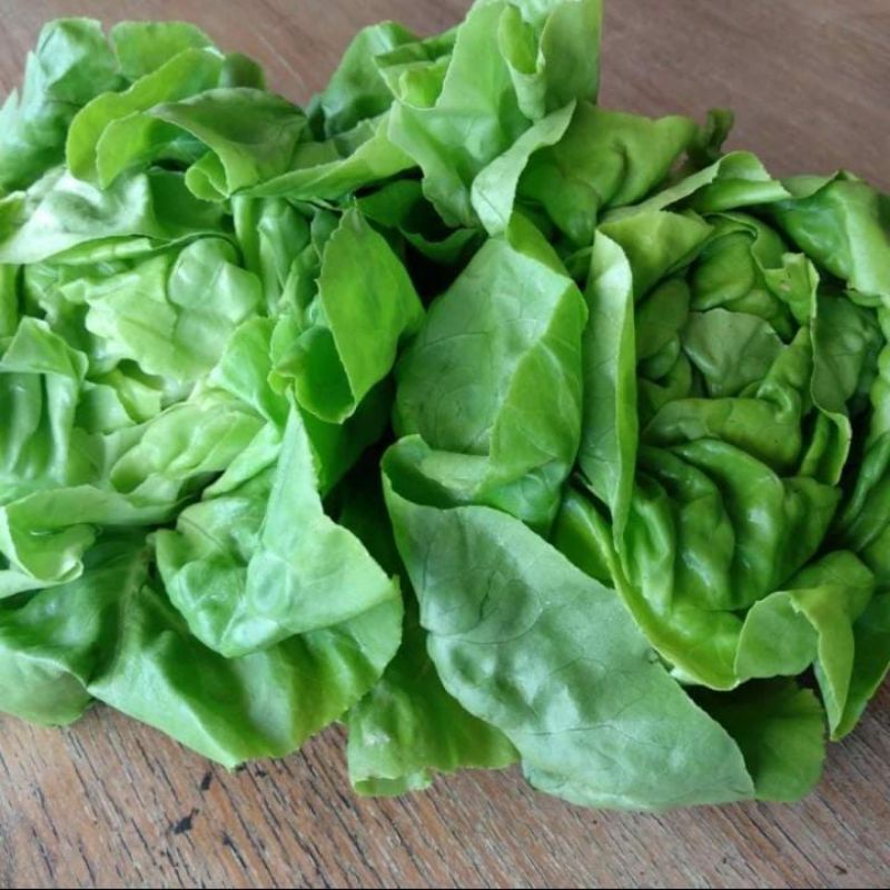 

Lettuce Butterhead 500gr