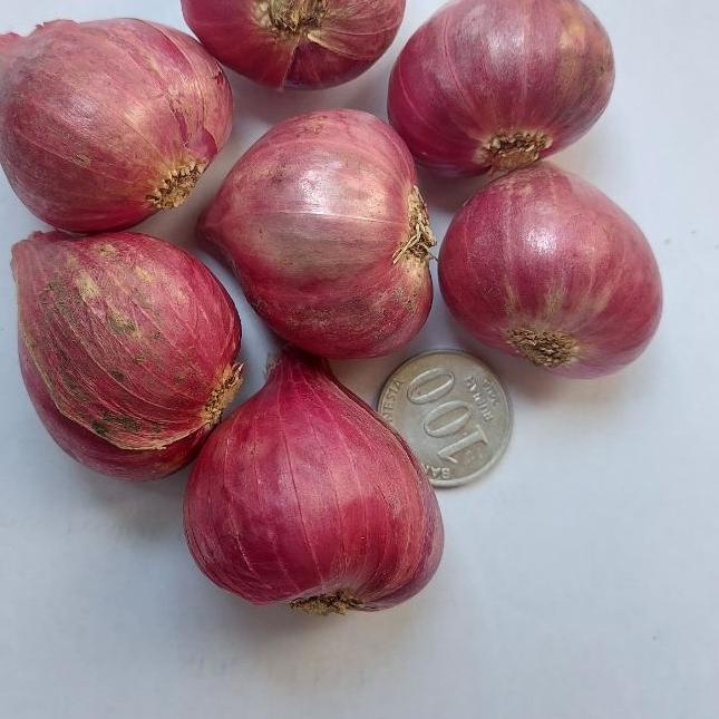 

trx4v9Uj--Bawang Merah Super/Bawang Merah/Bawang Brebes 250gr Bawangbagus