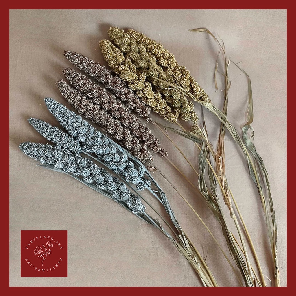 Dried Setarea Ramadhan Hampers Decoration Lebaran Dekorasi Idul Fitri Hari Raya Hiasan Bunga  Kering  Preserved Flower Dry Flower Dried Flower