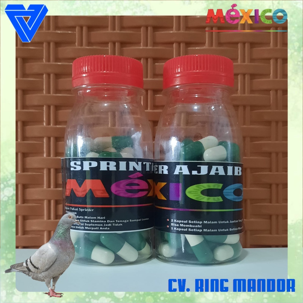 SPRINTER AJAIB SUPLEMEN SOLUSI MERPATI