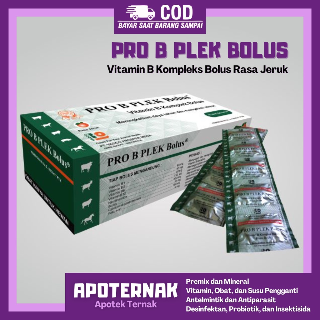 Jual PRO B PLEK Bolus | Vitamin B Komplek Untuk Meningkatkan Daya Tahan ...