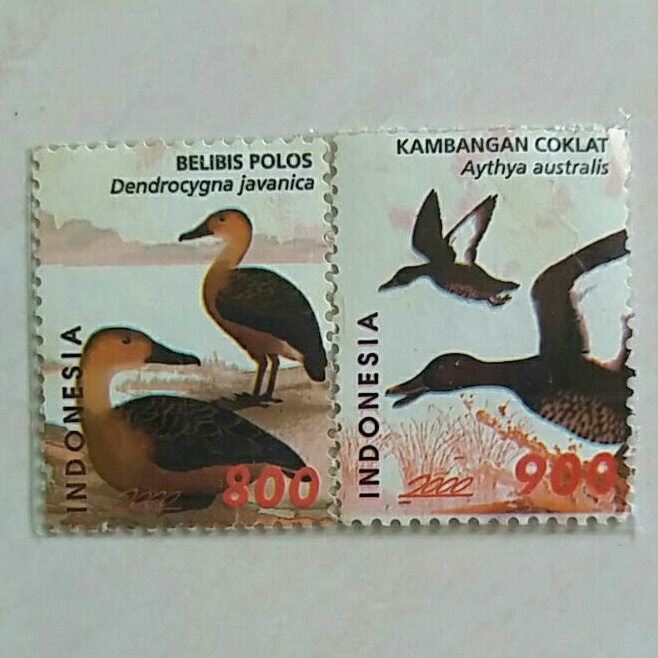 

(AB) Perangko Indonesia 2000 Bebek Seri 3 Set Lengkap 2pcs Mint