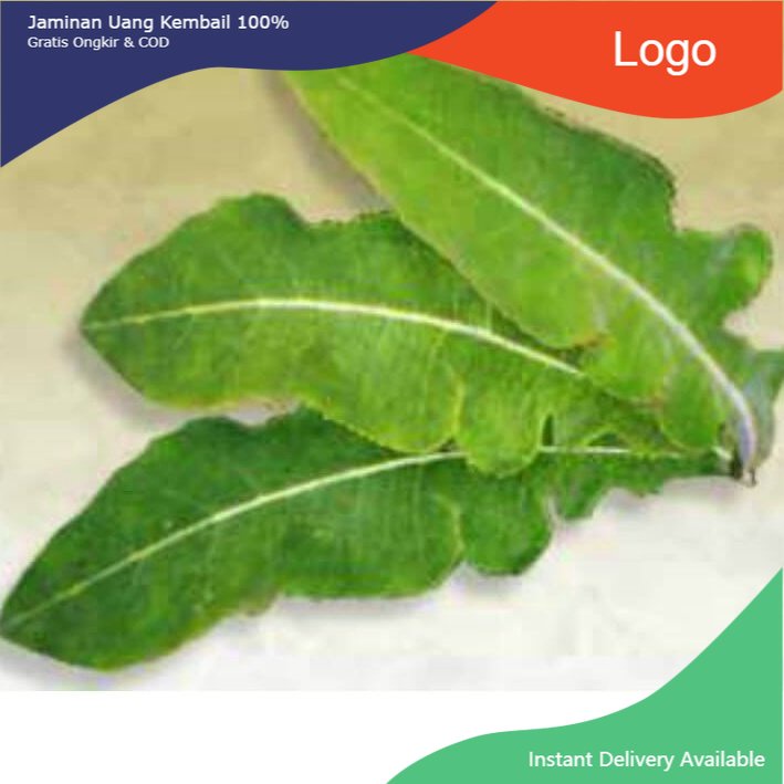 

Promo 500gr Daun Tempuyung fresh & organic