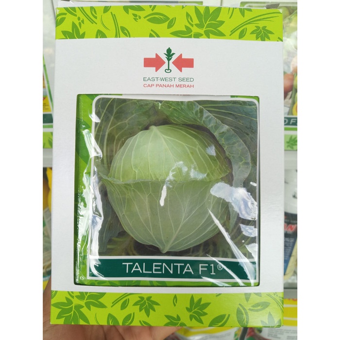 Benih Kubis TALENTA F1 15 Gram Bibit Cap Panah Merah