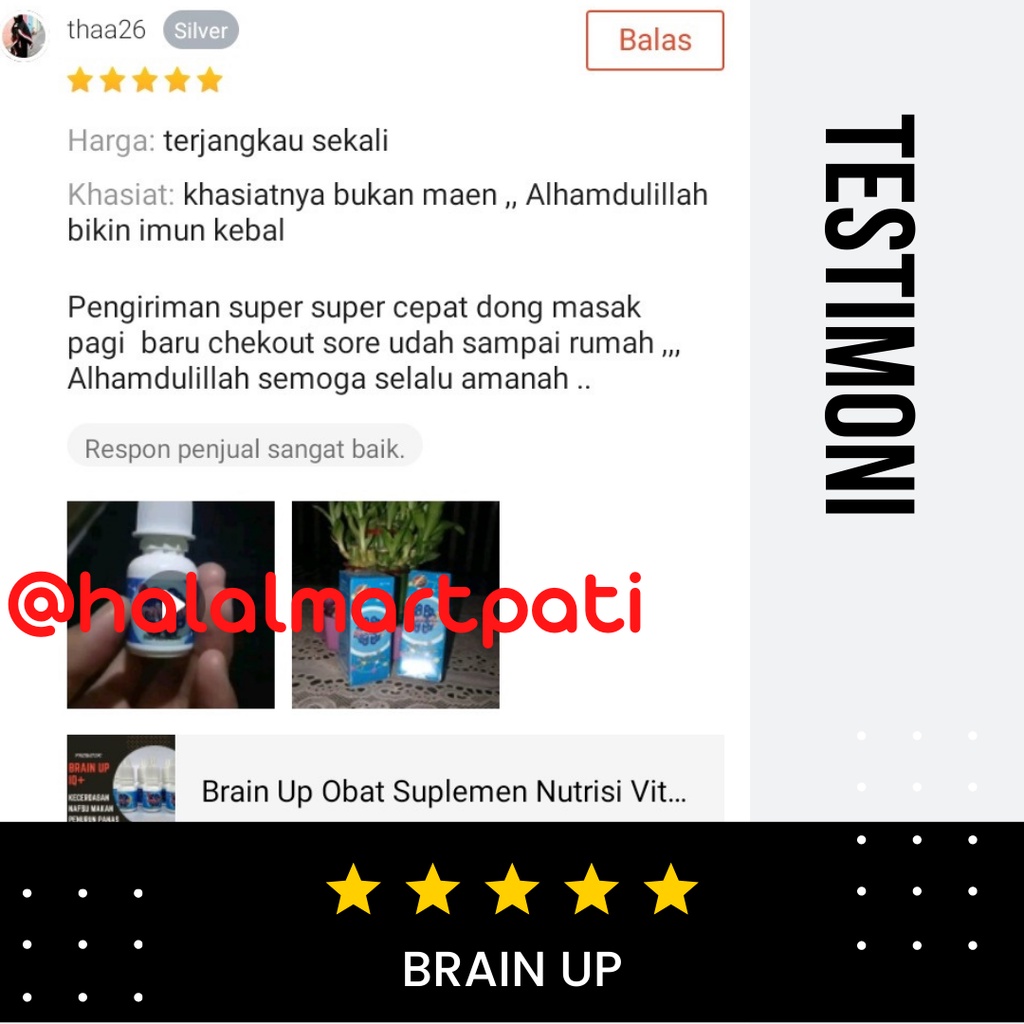 Brain Up Probiotik Ekstrak Pegagan Madu Obat Suplemen Vitamin Nutrisi Speech Delay Penambah Peningkat Kecerdasan Konsentrasi Daya Ingat Otak Nafsu Makan Penurun Panas Demam Anak Pintar Cerdas