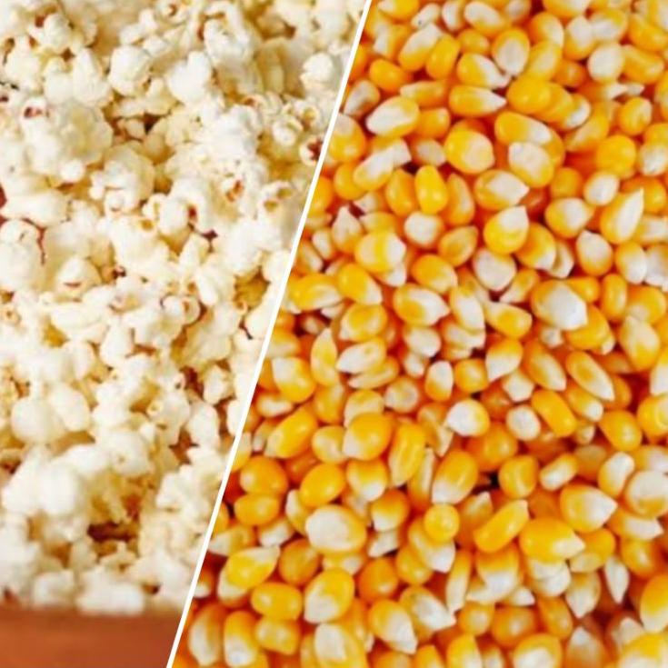 

Check Here--biji jagung popcorn 500 gr premium