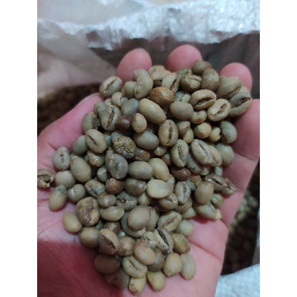 

KopiLanang/Argopuro/Robusta/Lanang