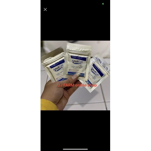 amoxcell amoxcel obat ikan antibiotik karantina kutu jamur borok luka ikan koi koki louhan chann cup