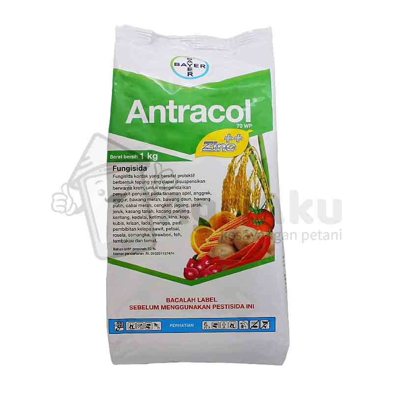 Antracol 70WP 1Kg