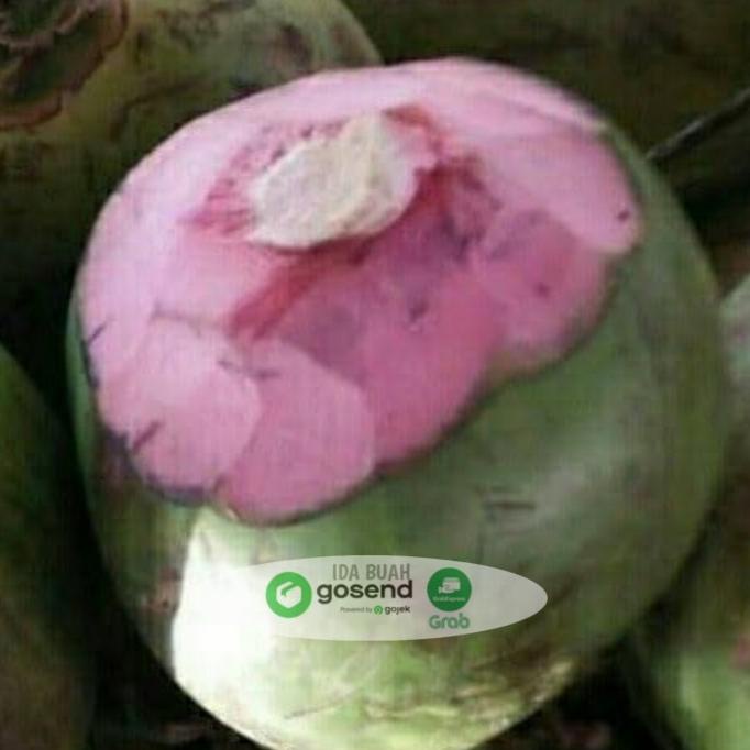 

DEGAN IJO/DEGAN SABUT MERAH/DEGAN OBAT/KELAPA WULUNG JUAL